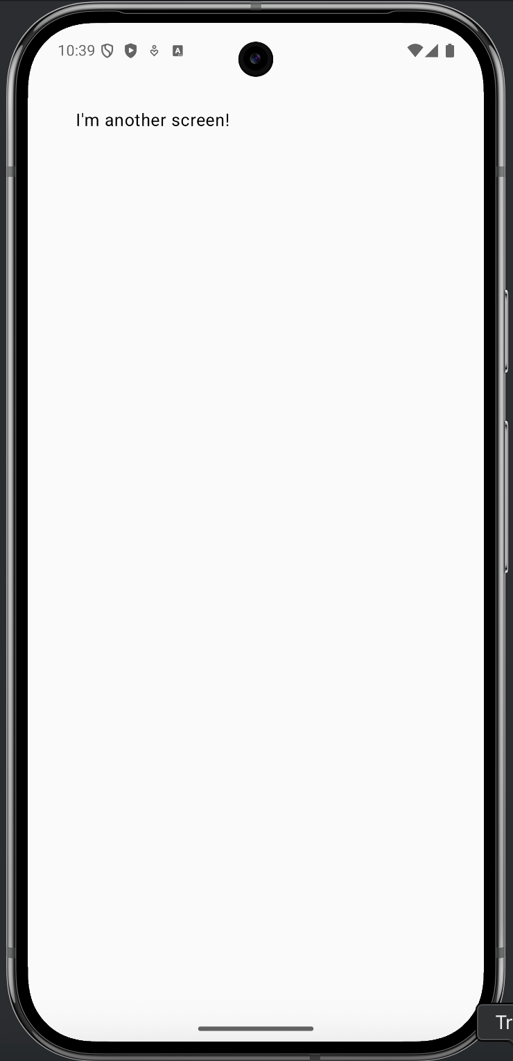 dummyscreen